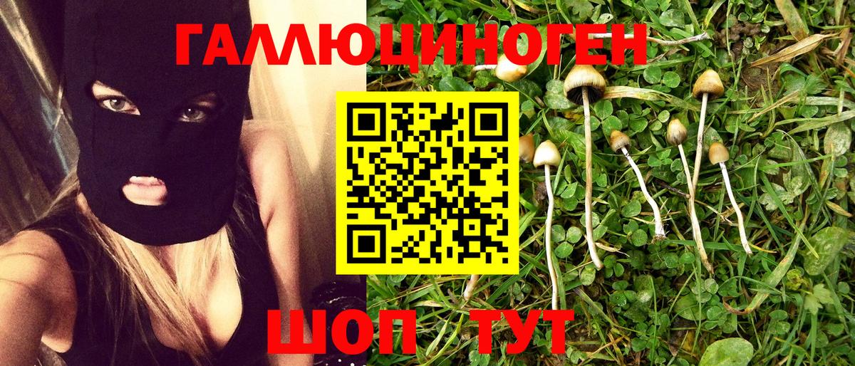 Псилоцибиновые грибы Cubensis Урюпинск