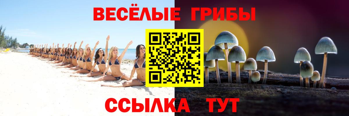 где купить наркоту  Псилоцибиновые грибы мухоморы  Вход с VPN  Урюпинск 